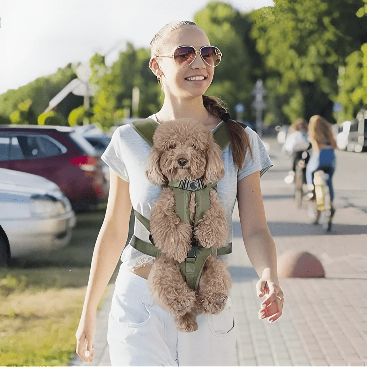 Breathable Dog Carrying Harness | Active Peaks - Active Peaks