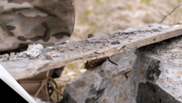 Tactical Gloves Reinforced Impact-Resistant | Active Peaks
